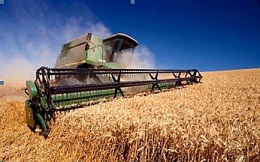 В этом году фермерские хозяйства России собрали на полях свыше ста млн. тонн зерна